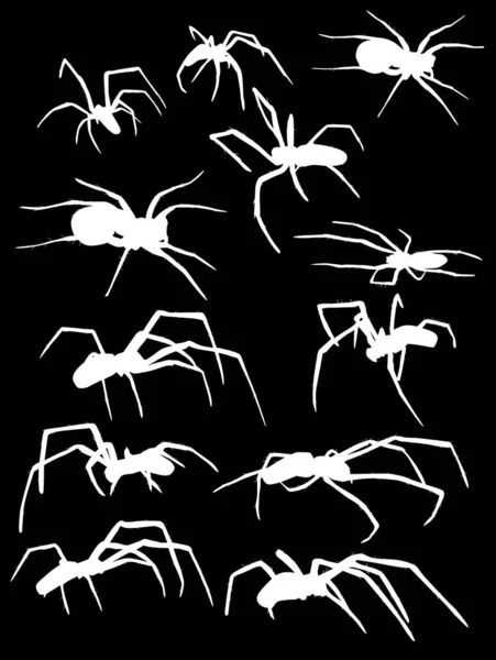 Illustration Avec Douze Silhouettes Araignée Isolées Sur Fond Noir — Image vectorielle