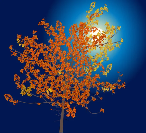 Illustration Orange Fall Tree Dark Blue Background — Stock Vector