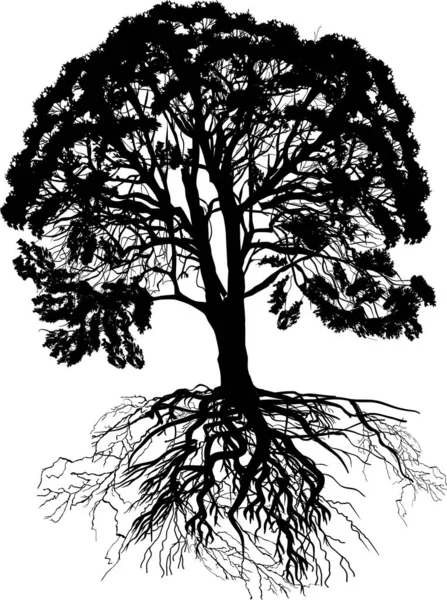 Illustration Mit Großem Baum Isoliert Auf Weißem Hintergrund — Stockvektor