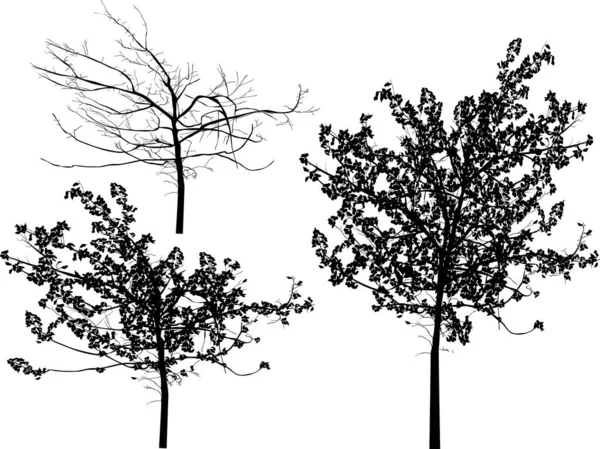 Ilustracja Trzema Drzewami Odizolowanymi Białym Tle — Wektor stockowy