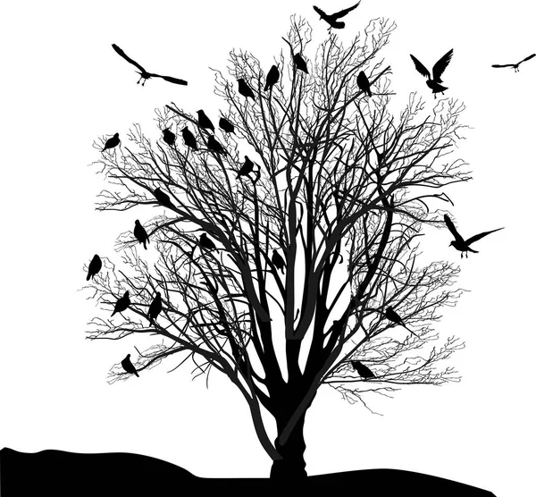 Απεικόνιση Πουλιά Και Δέντρα Στα Τέλη Του Φθινοπώρου Απομονωμένα Λευκό — Διανυσματικό Αρχείο