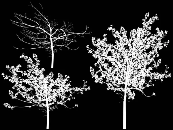 Illustration Avec Trois Arbres Isolés Sur Fond Noir — Image vectorielle