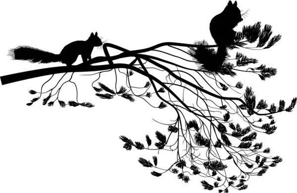 Illustration Mit Eichhörnchen Und Kiefernzweig Isoliert Auf Weißem Hintergrund — Stockvektor
