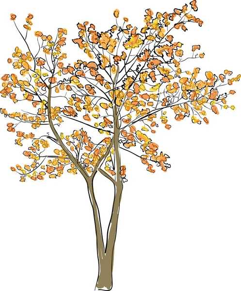 Illustration Mit Baum Goldfarbene Skizze Isoliert Auf Weißem Hintergrund — Stockvektor