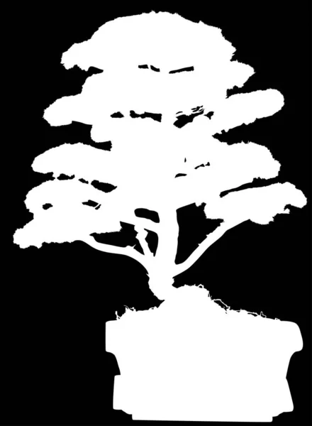 Illustration Mit Bonsai Baum Topf Silhouette Isoliert Auf Schwarzem Hintergrund — Stockvektor