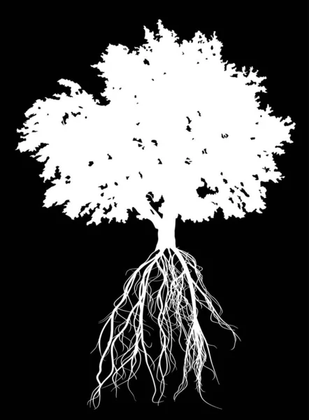 Ilustrație Siluetă Copac Izolată Fundal Negru — Vector de stoc