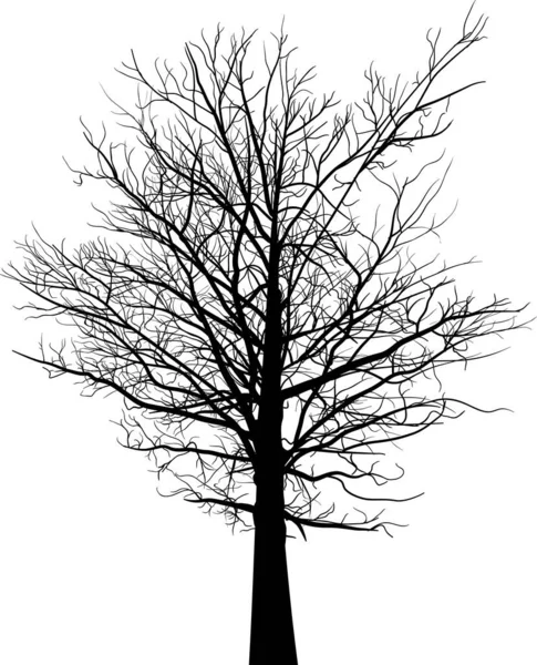 Illustrazione Con Nero Grande Albero Silhouette Isolato Sfondo Bianco — Vettoriale Stock