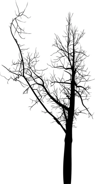 Illustrazione Con Nero Grande Albero Silhouette Isolato Sfondo Bianco — Vettoriale Stock