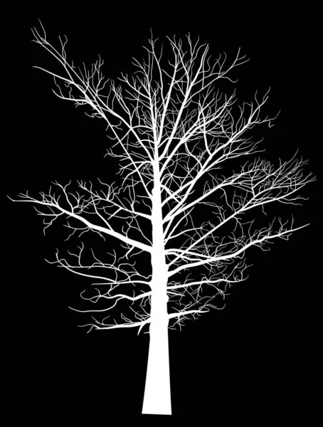 Illustration Med Vit Stor Träd Siluett Isolerad Svart Bakgrund — Stock vektor