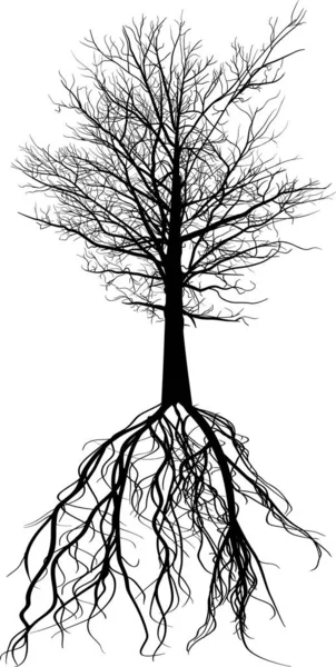 白を基調とした黒い大きな木のシルエットのイラスト — ストックベクタ
