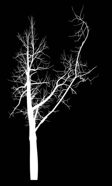 Ilustración Con Silueta Blanca Árbol Grande Aislada Sobre Fondo Negro — Vector de stock