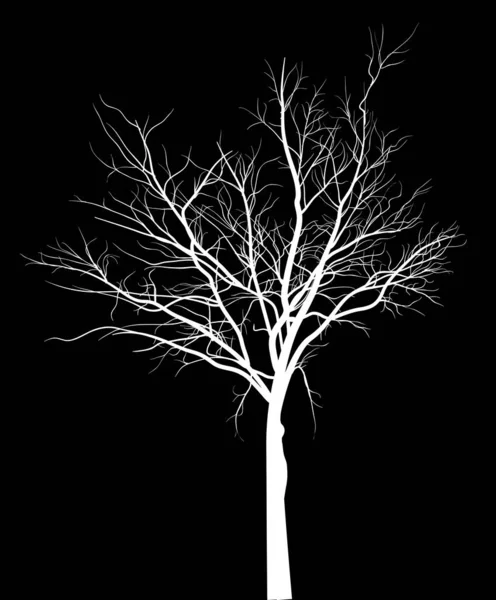 Иллюстрация Белым Большим Деревом Силуэт Изолирован Черном Фоне — стоковый вектор