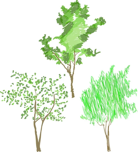 Illust Zielonym Kolorowym Drzewem Szkice Izolowane Białym Tle — Wektor stockowy