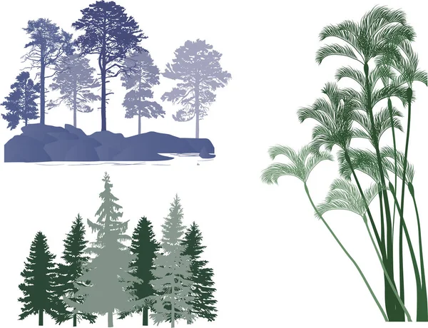 Illustratie Met Bomen Groepen Geïsoleerd Witte Achtergrond — Stockvector