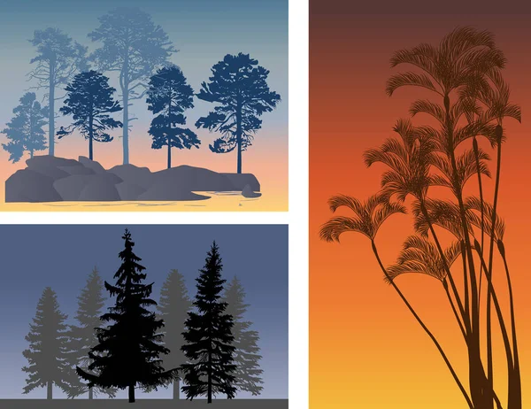 Ilustracja Różnymi Grupami Drzew — Wektor stockowy