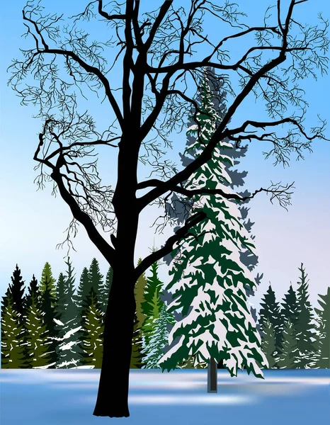 Ilustración Con Árbol Desnudo Cerca Abetos Nieve Sobre Fondo Azul — Vector de stock