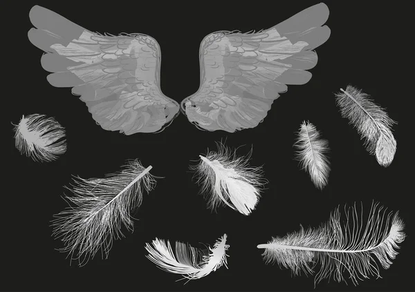 Illustration Mit Grauen Flügeln Und Federn Auf Schwarzem Hintergrund — Stockvektor
