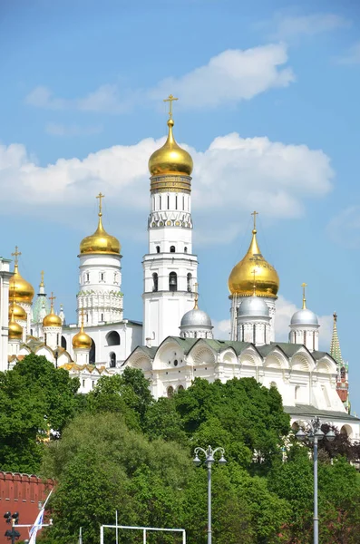 Cathedral Annunciation Trees Blue Cloudy Sky Moscow — Stock Photo, Image