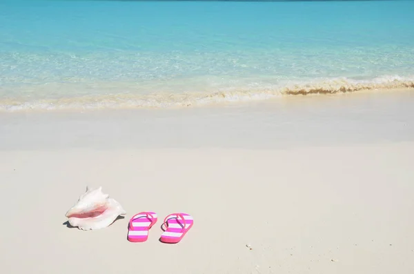 Sea Shell Pink Flip Flops Sandy Beach Blue Ocean Water — Stock Photo, Image