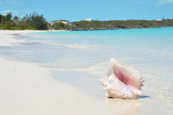 Muschel Sandstrand Mit Blauem Meerwasser Von Exuma Bahamas — Stockfoto