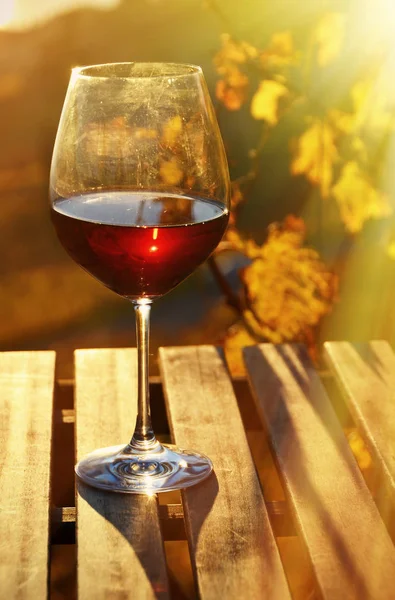 Foto Primer Plano Vidrio Con Vino Tinto Contra Viñedos Lavaux —  Fotos de Stock