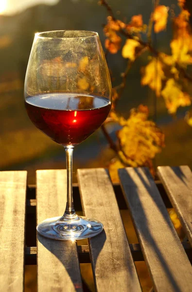 cam üzüm bağları Lavaux, İsviçre karşı kırmızı şarap ile yakın çekim fotoğraf