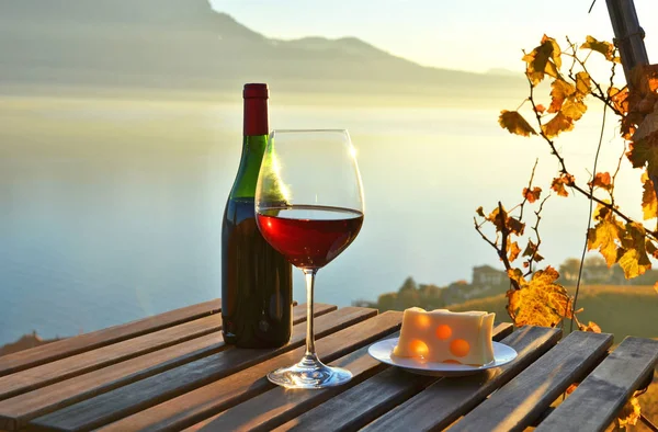 Foto Primer Plano Vidrio Con Vino Tinto Contra Viñedos Lavaux — Foto de Stock