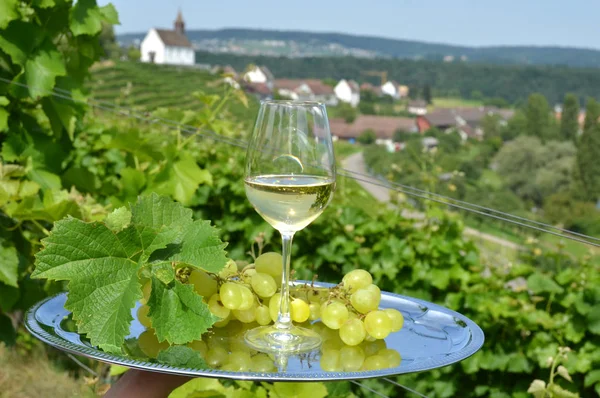 Mulher Segurando Bandeja Com Vinho Uvas Com Vinhas Rheinau Fundo — Fotografia de Stock