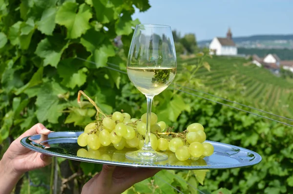 Woman Holding Tray Wine Grapes Vineyards Rheinau Background — Stock Photo, Image