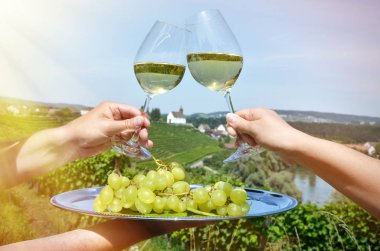 Kadın ve üzüm bağları Rheinau, İsviçre karşı şarap gözlük tutan adam