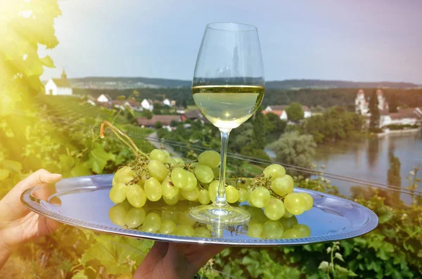 Frau Hält Tablett Mit Wein Und Trauben Mit Weinbergen Rheinau — Stockfoto