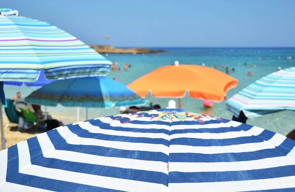 Sun Umbrellas Fig Tree Bay Cyprus — Stock Photo, Image