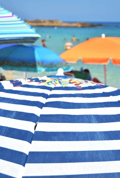 Sun Umbrellas Fig Tree Bay Cyprus — Stock Photo, Image