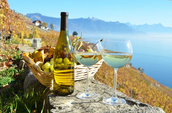 Vino Uvas Frente Lago Ginebra Suiza — Foto de Stock