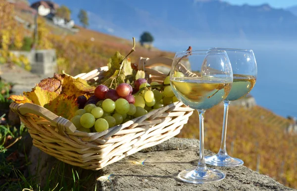 ワインとジュネーブ湖 スイス連邦共和国に対してブドウ — ストック写真