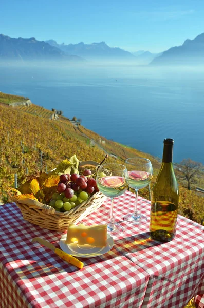 Vin Och Druvor Mot Genèvesjön Schweiz — Stockfoto
