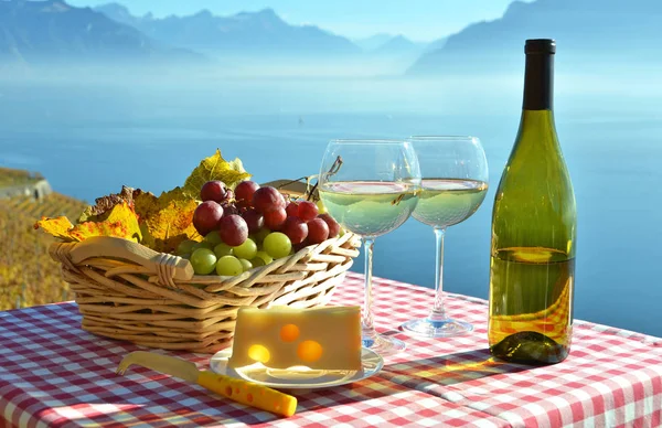 Vino Uvas Frente Lago Ginebra Suiza — Foto de Stock