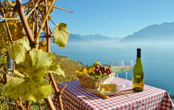 Vino Uva Contro Lago Ginevra Svizzera — Foto Stock