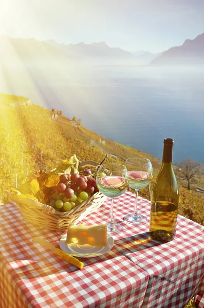 Wine Grapes Geneva Lake Switzerland — Stock Photo, Image