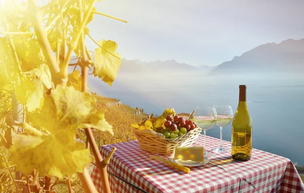 Vinho Uvas Contra Lago Genebra Suíça — Fotografia de Stock