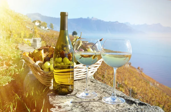 葡萄酒和葡萄对瑞士日内瓦湖 — 图库照片