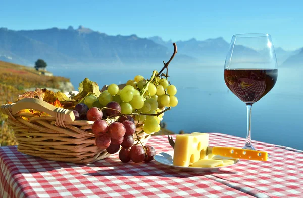 Vino Uvas Frente Lago Ginebra Suiza — Foto de Stock