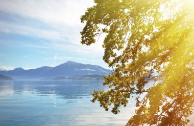 Güzel sakin göl Zug ve İsviçre sonbahar yaprakları