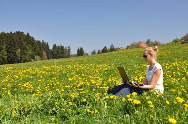 Flicka med en bärbar dator på våren ängen — Stockfoto