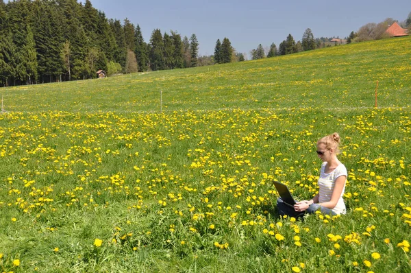 Bahar çayır bir dizüstü bilgisayarda kızla — Stok fotoğraf