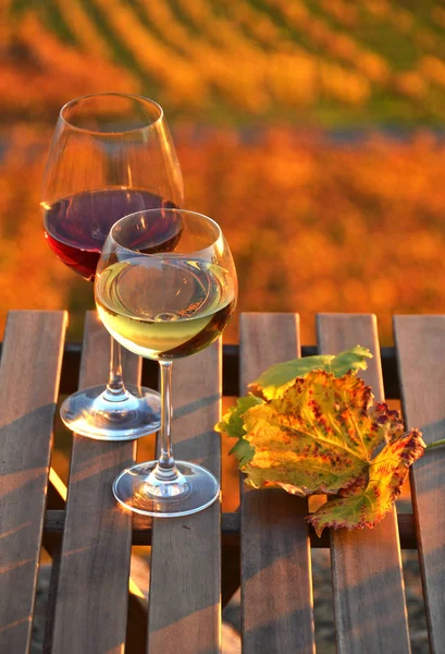 Wijn op het terras van de wijngaard in Lavaux-gebied, Zwitserland — Stockfoto
