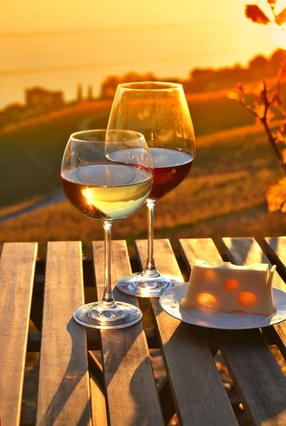 Wine and cheese on the terrace of vineyard in Lavaux region, Swi