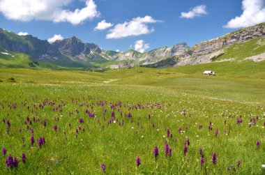 Uzak kayalar ile Alp çayırı, Melchsee-Frutt, İsviçre