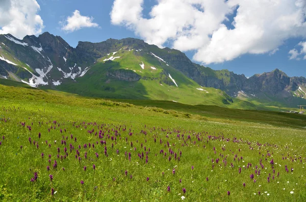 Prado Alpino Com Colinas Distantes Melchsee Frutt Suíça — Fotografia de Stock