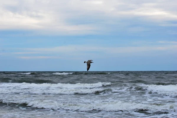 Seaside Beach Sommar — Stockfoto